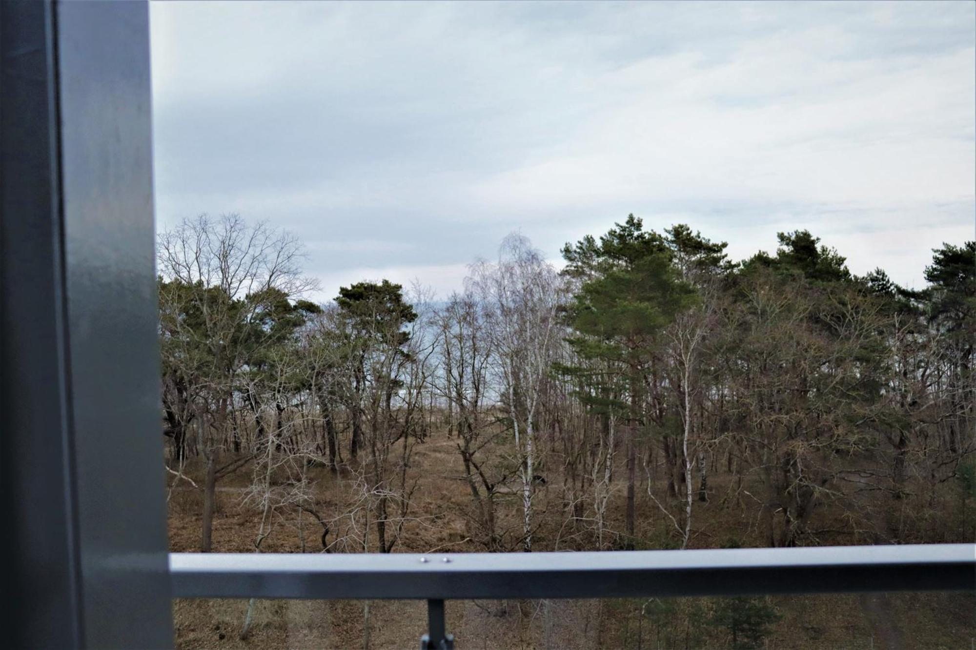 Fewo Prora - Ausblick ビンツ エクステリア 写真